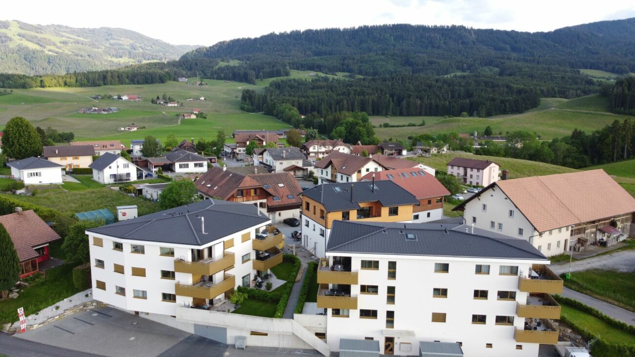 Luftaufnahme eines Wohngebiets mit Bergpanorama