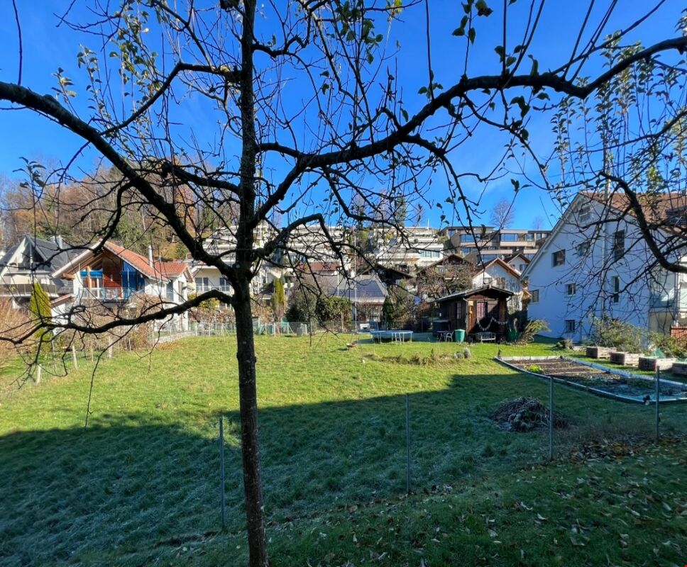 Garten mit Nachbarbebauung