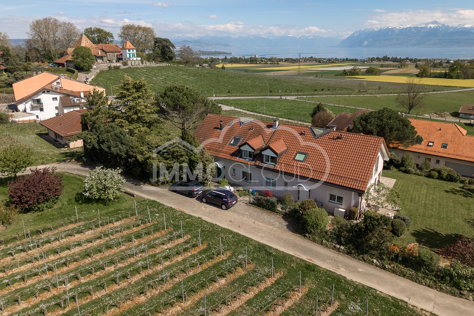 Luftaufnahme eines Hauses in Hanglage mit Seeblick
