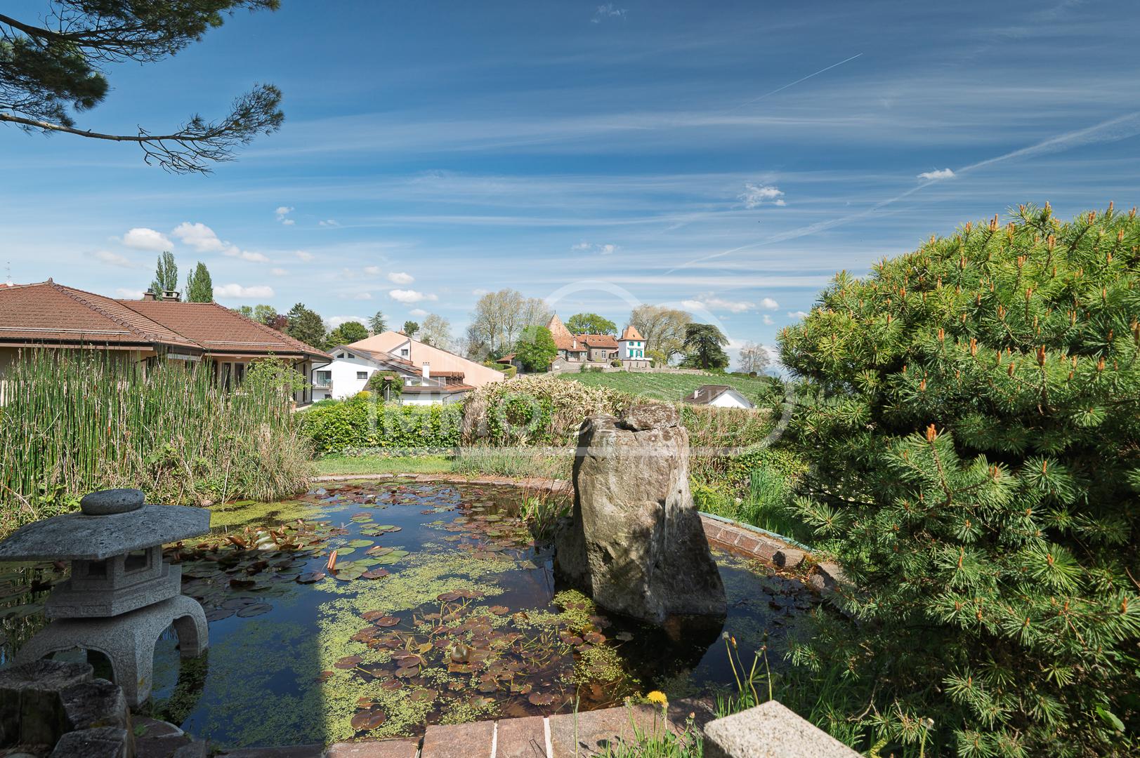 Garten mit Teich und Ausblick über Wohngebiet