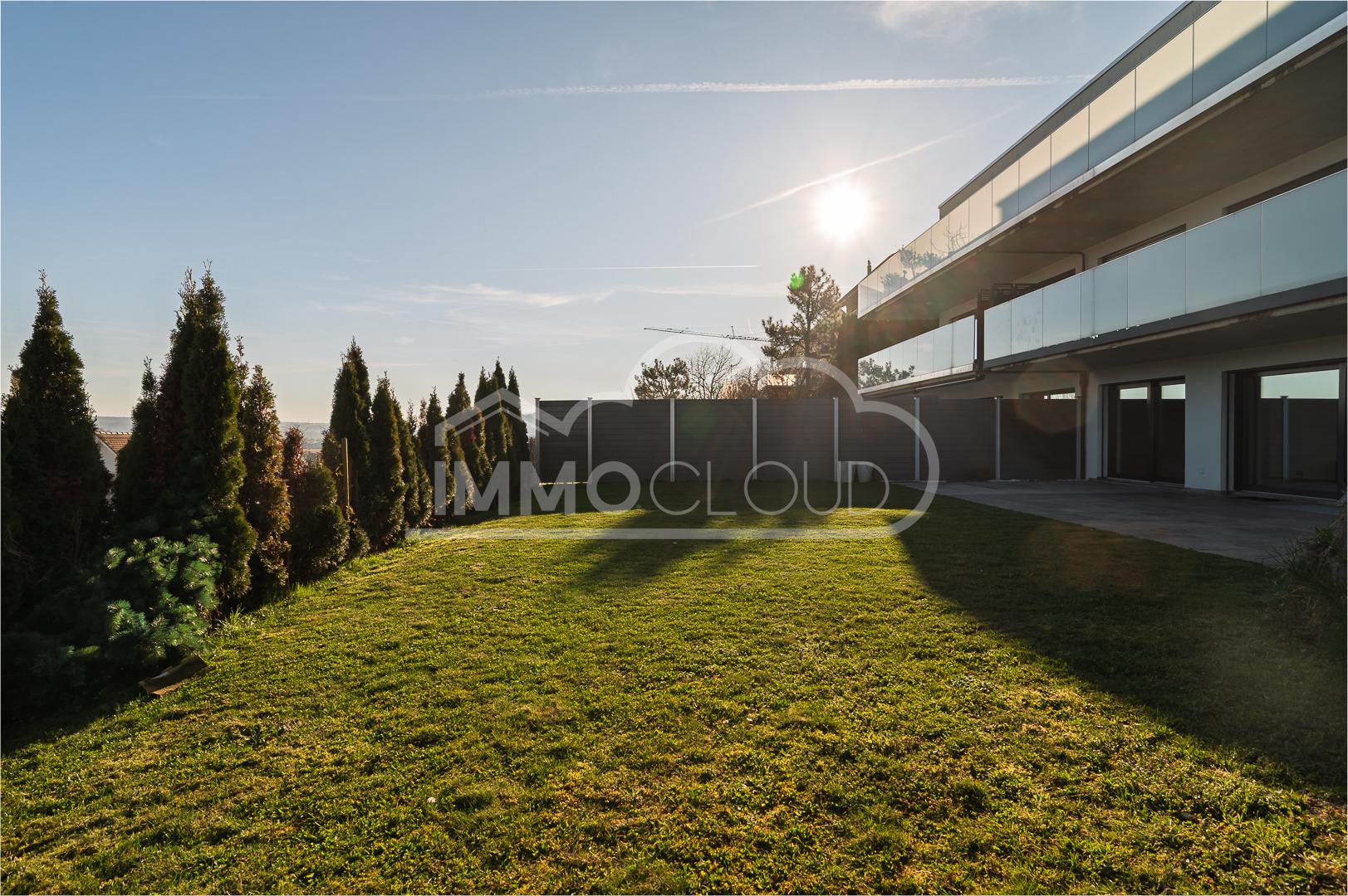 Moderne Terrasse mit Garten