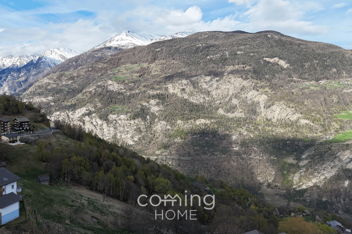 Alpenpanorama mit Talblick