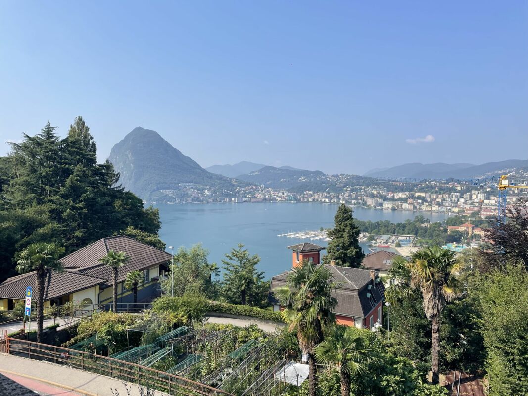Seeblick mit Stadtpanorama
