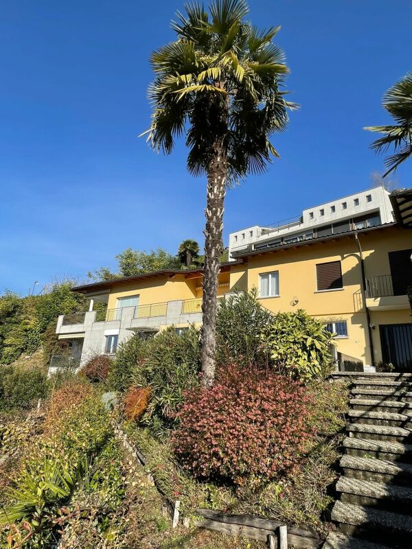 Haus mit üppigem Garten und Palmen