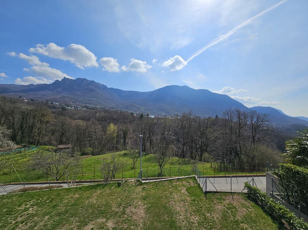 Bergpanorama mit Gartenblick