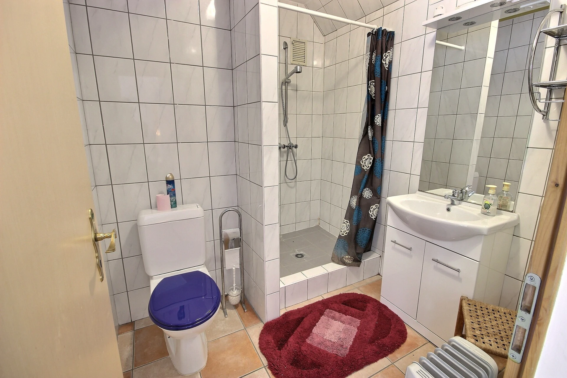 Kleines Badezimmer mit Dusche und WC