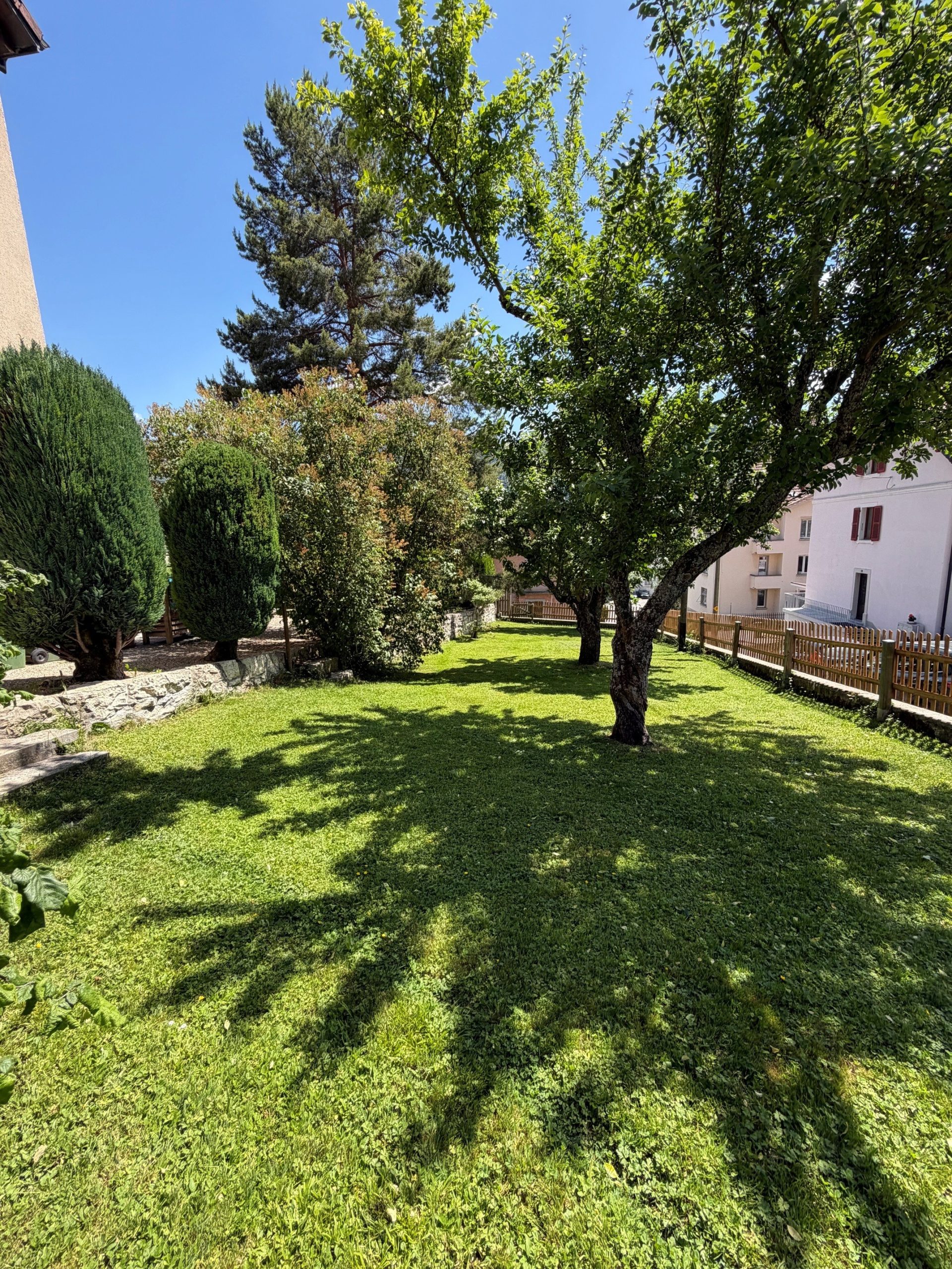 Gepflegter Garten mit Rasen und Bäumen