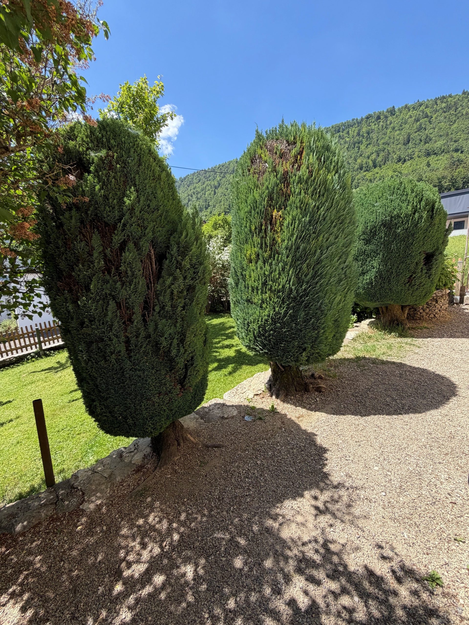Garten mit Formschnittbäumen vor Bergkulisse