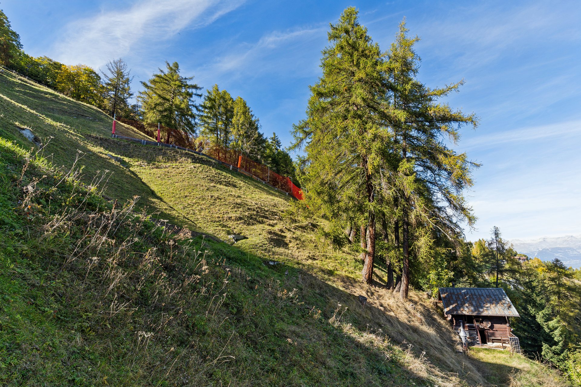 Alpiner Hang mit Wald und kleiner Hütte