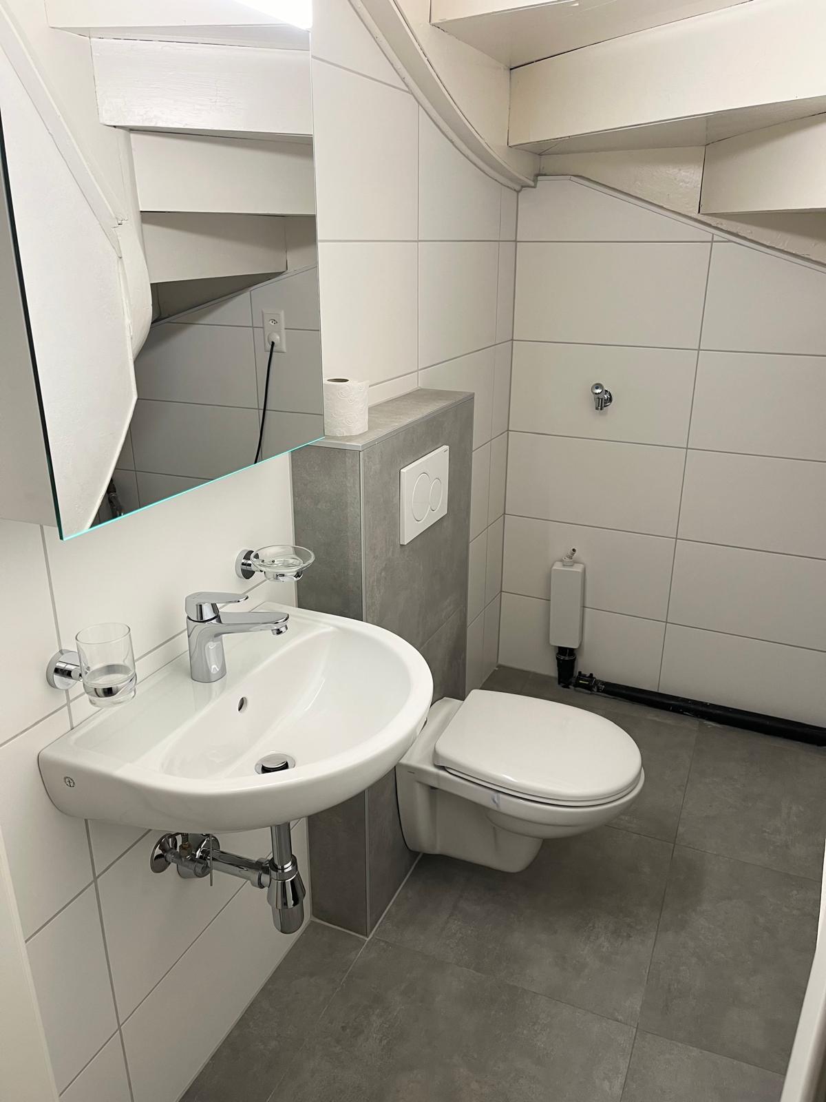 Kleines WC unter der Treppe