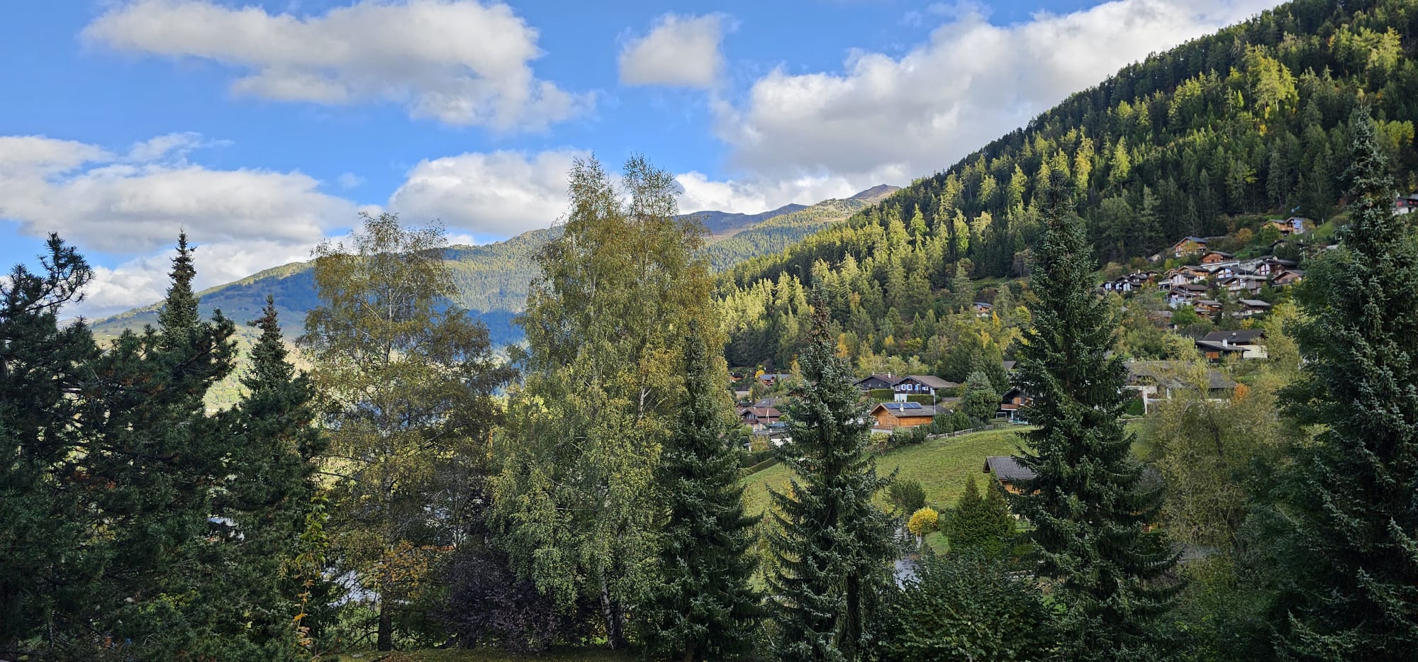 Bergtal mit Wald und verstreuter Siedlung