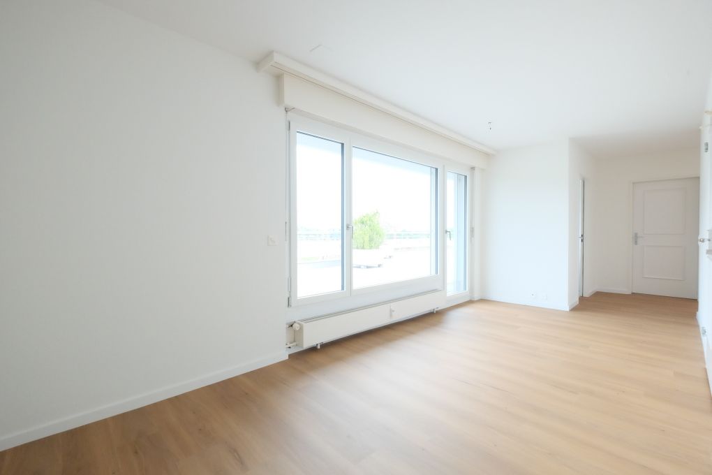 Heller leerer Wohnraum mit großem Fenster