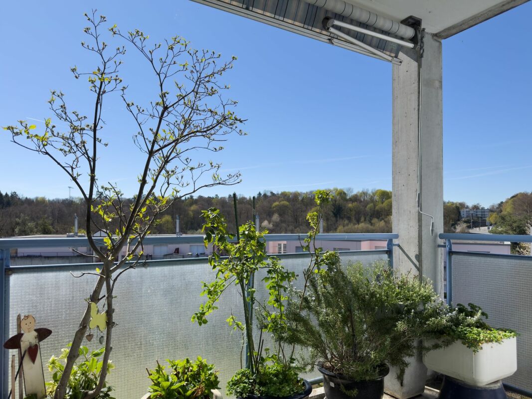 Balkon mit Pflanzen und Ausblick ins Grüne