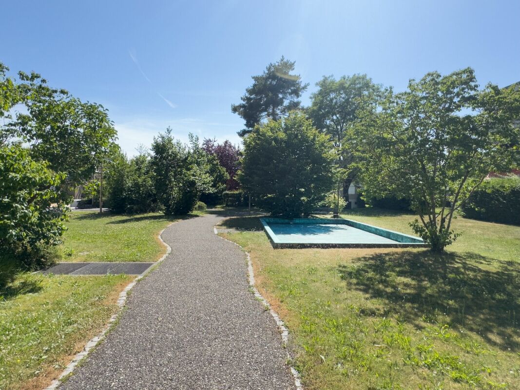 Garten mit Pool und geschwungenem Weg