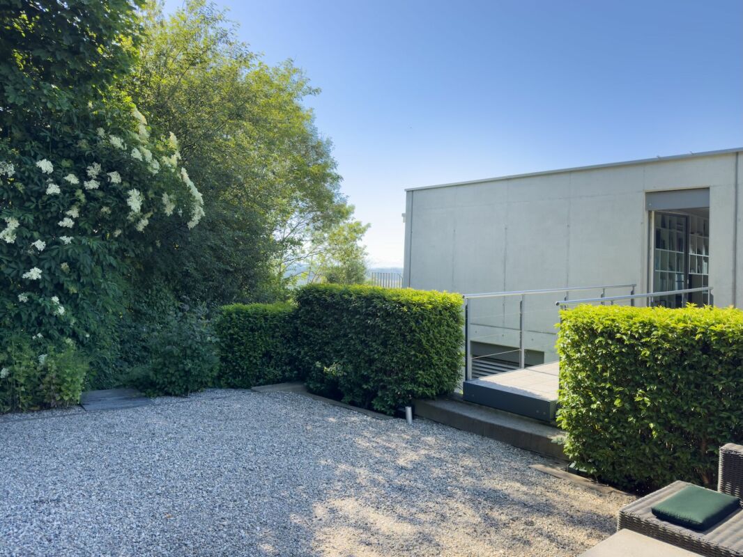 Moderner Außenbereich mit Terrasse und Garten