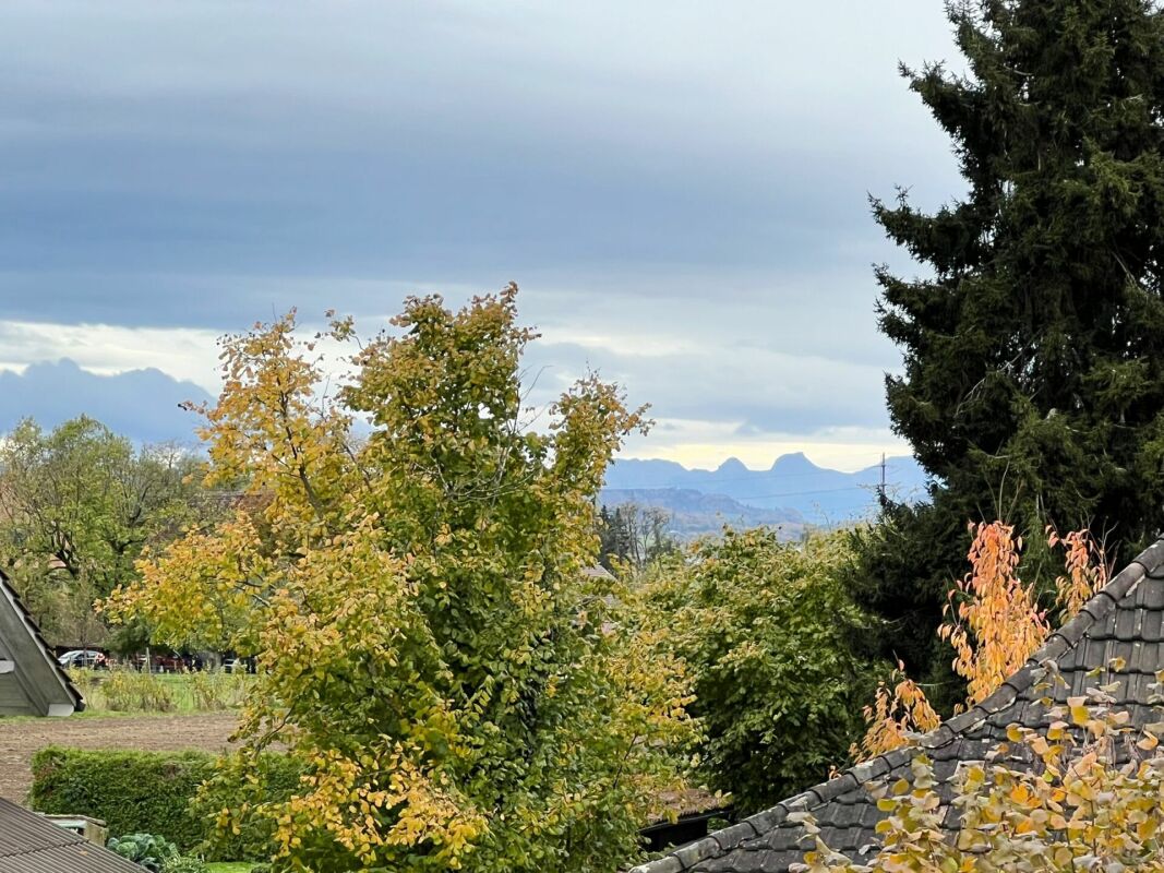 Gartenblick mit Bergen und Dach im Vordergrund