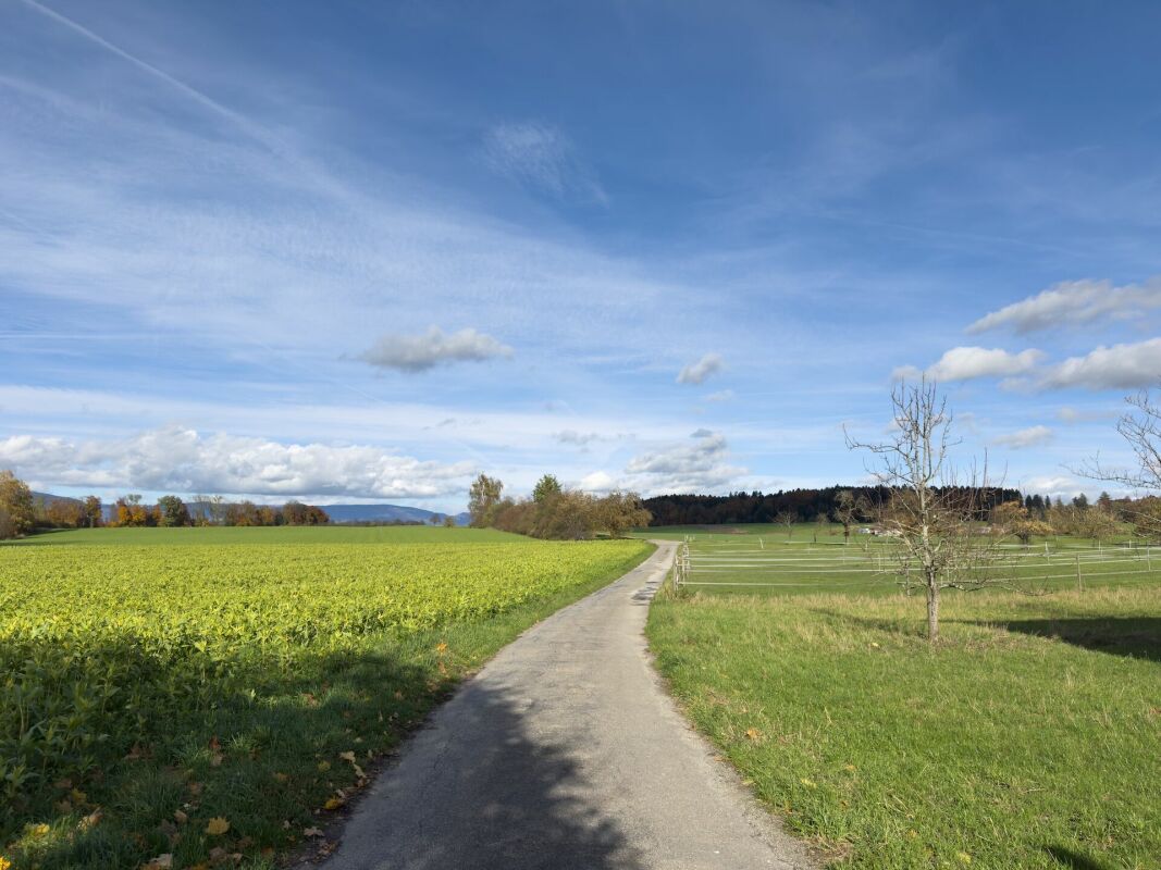 Landschaftsaufnahme mit Feldweg