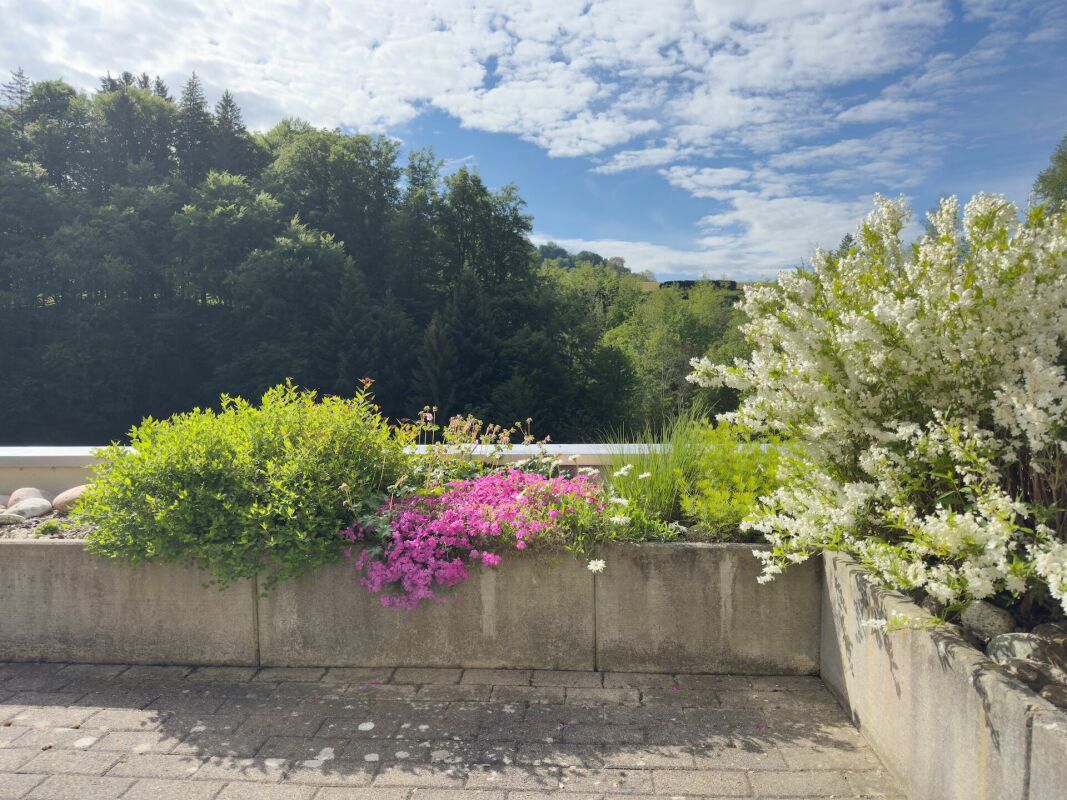 Garten-/Terrassenblick mit Blumenbeeten