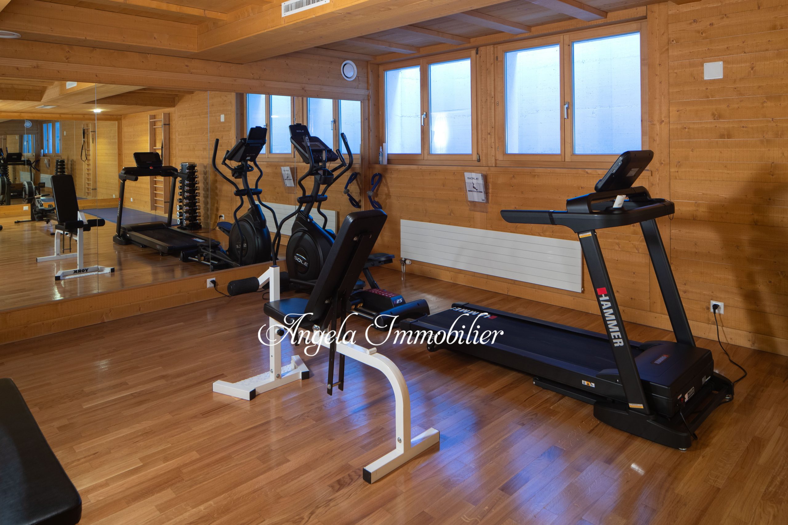 Home-Gym mit Holzverkleidung