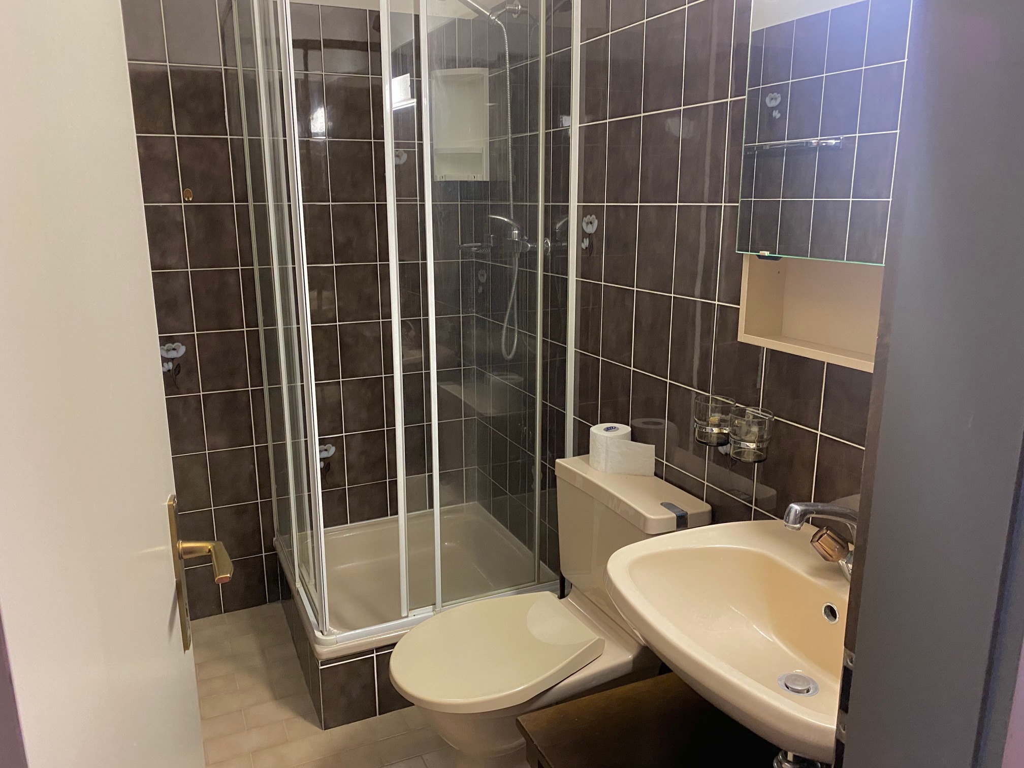 Kleines Badezimmer mit Dusche und WC