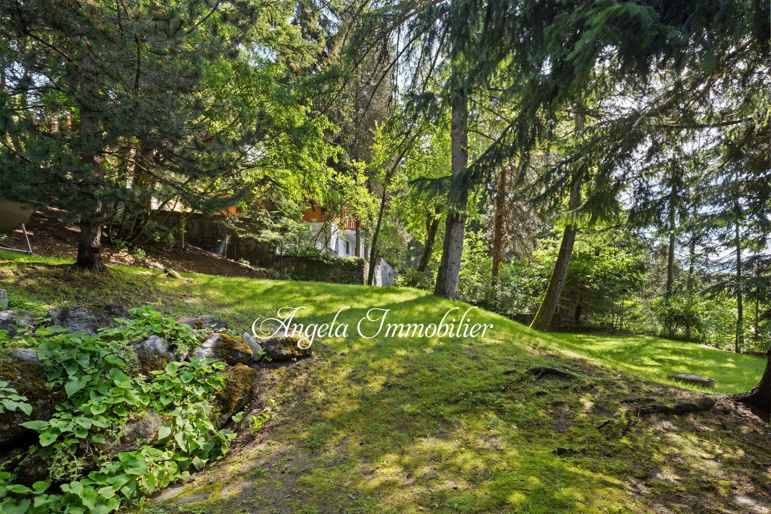 Bewaldeter Garten mit Hanglage