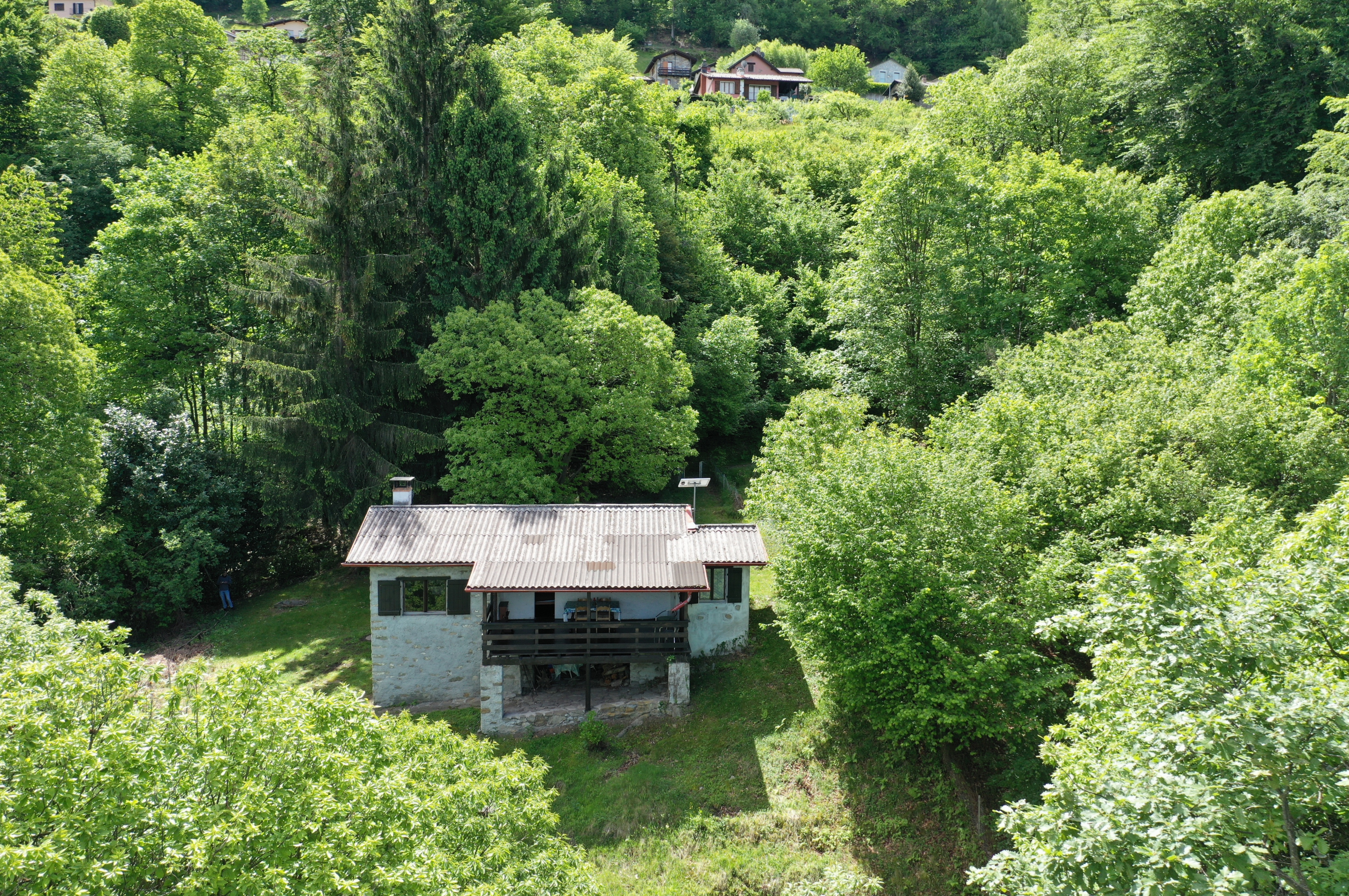 Ländliches Haus inmitten von dichtem Grün