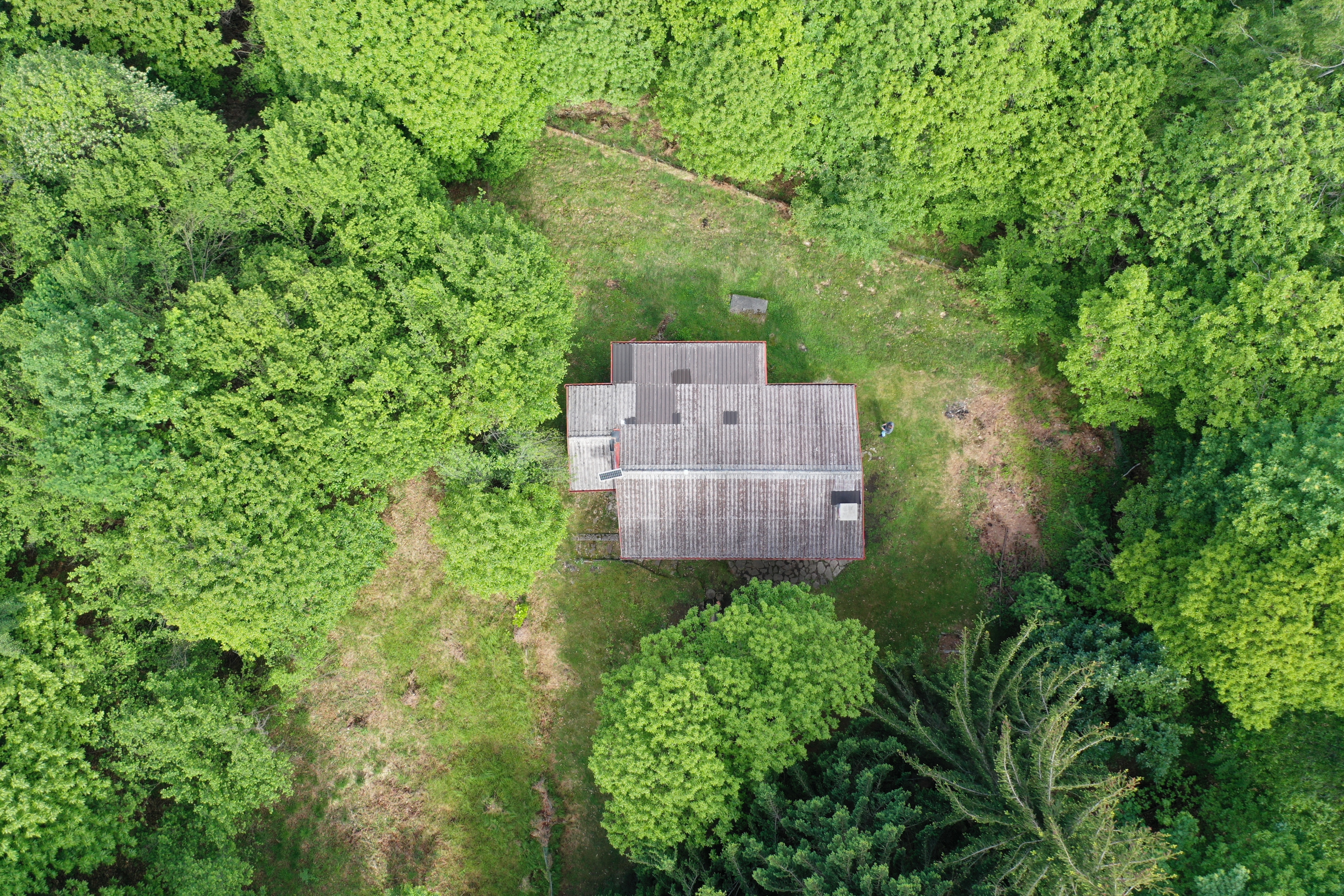 Luftaufnahme eines Hauses im Wald