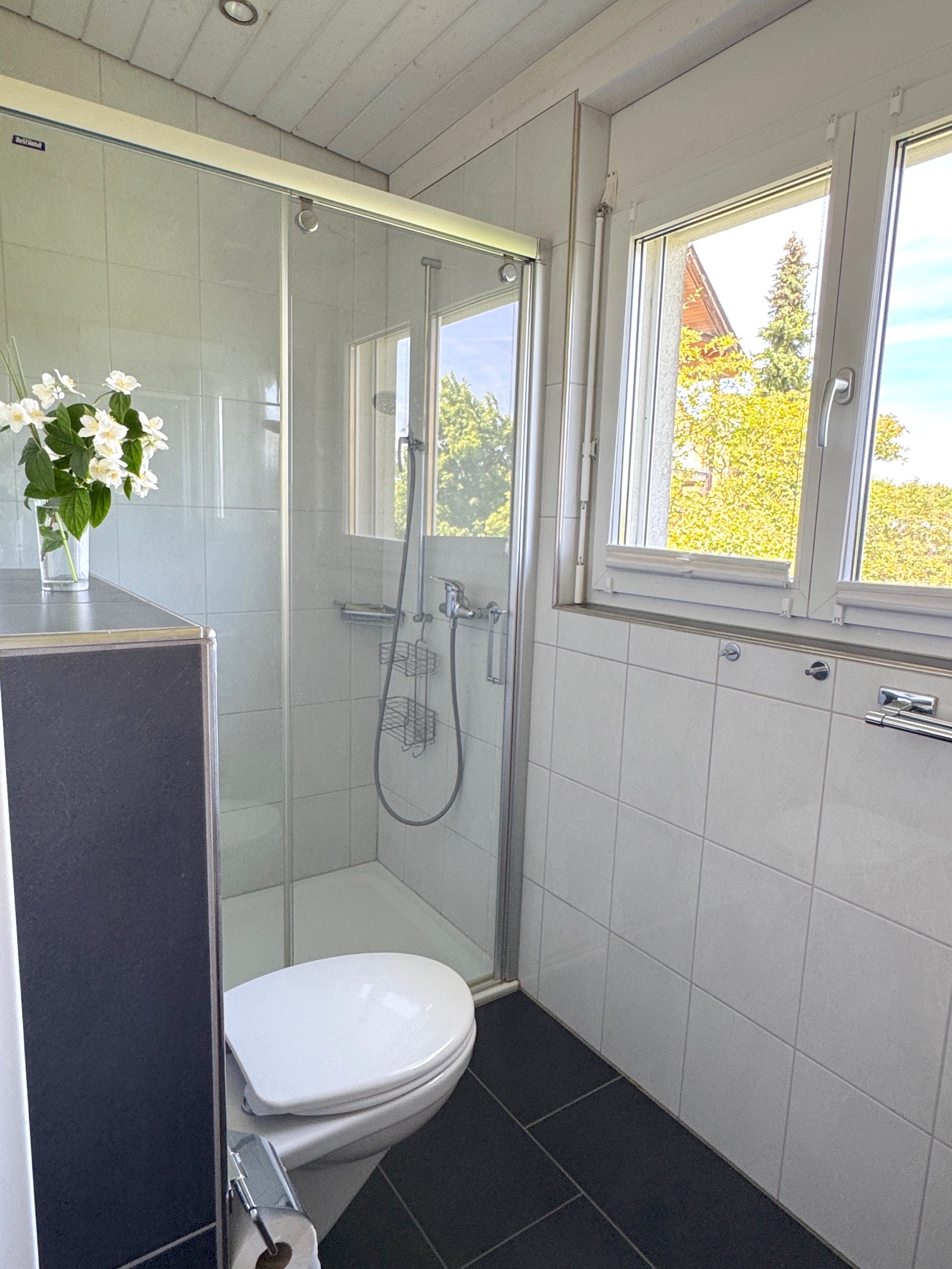 Modernes Badezimmer mit Dusche und WC