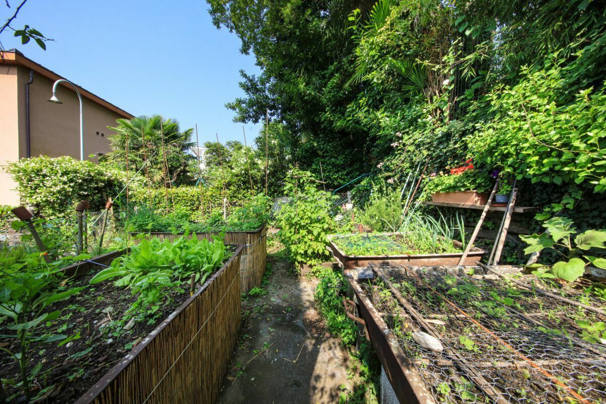 Gemüsegarten mit Hochbeeten