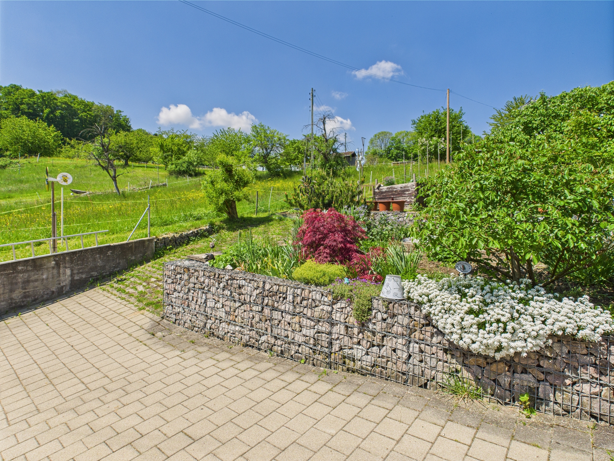 Gepflegter Garten mit Steingabionen und Pflasterfläche