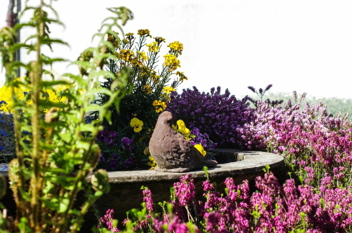 Blühender Garten mit dekorativer Steinbrunnen- oder Pflanzschale