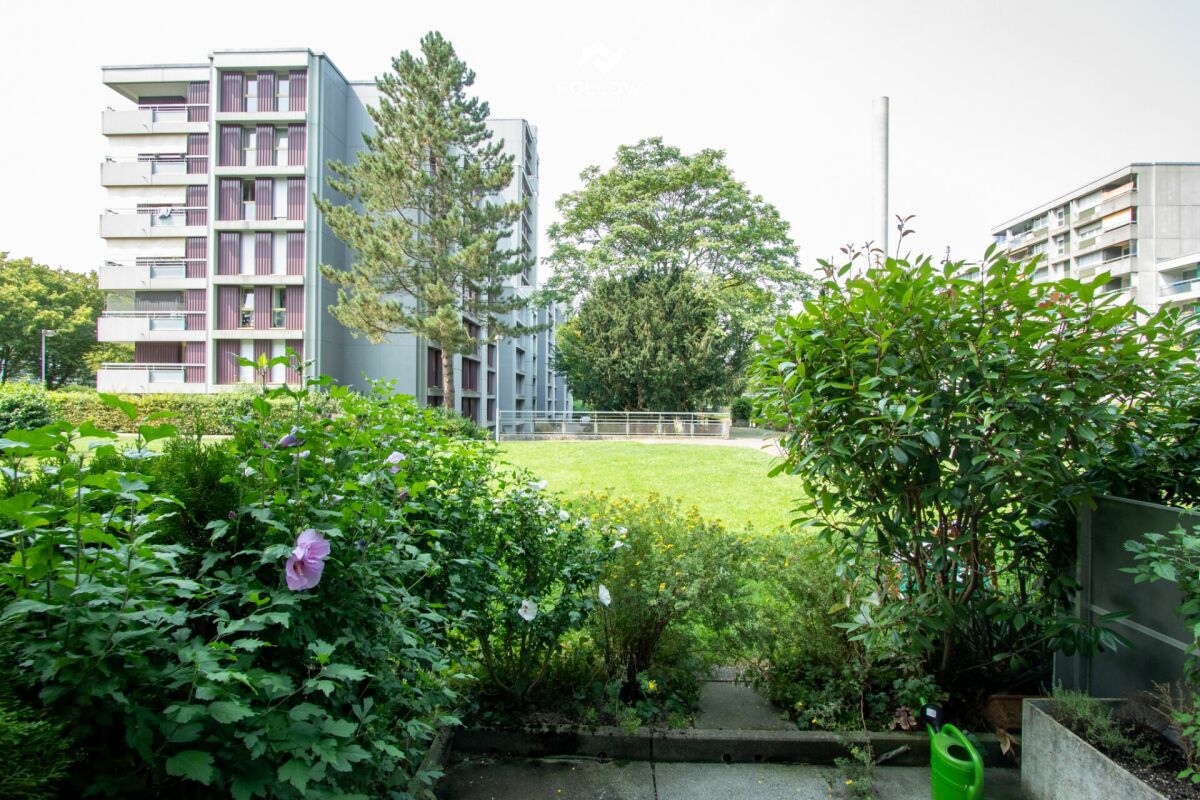 Blick auf eine begrünte Wohnanlage mit Mehrfamilienhäusern
