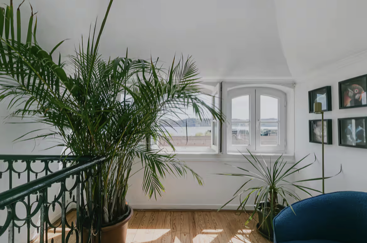Heller Wohnraum mit Pflanzen und Blick nach draußen