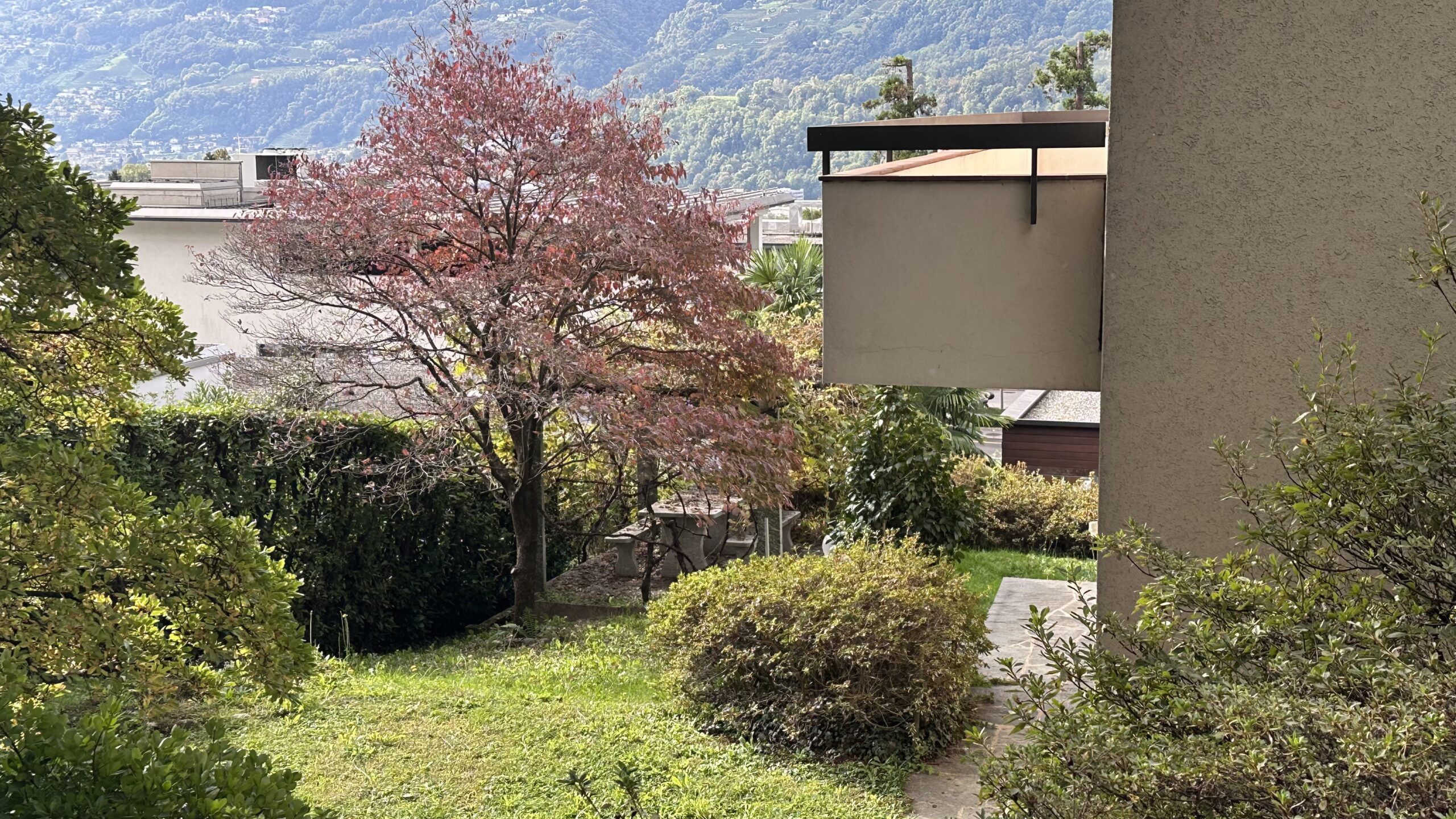 Garten mit Bergblick