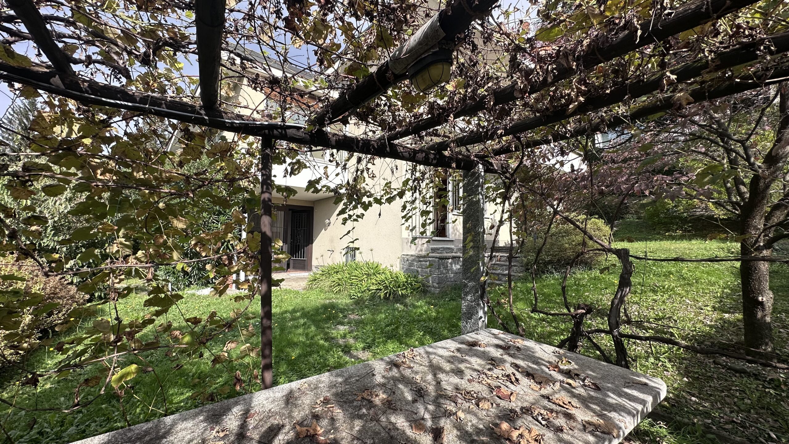 Garten mit Hausansicht und Rankgerüst