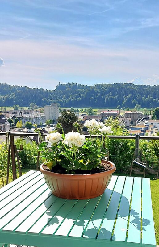 Balkon mit Blumentopf und Panoramablick