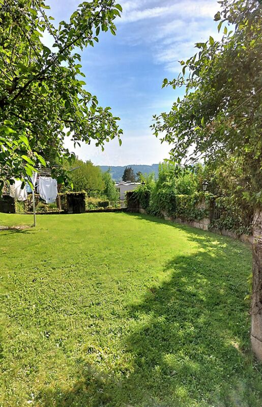 Großer grüner Garten mit Bäumen