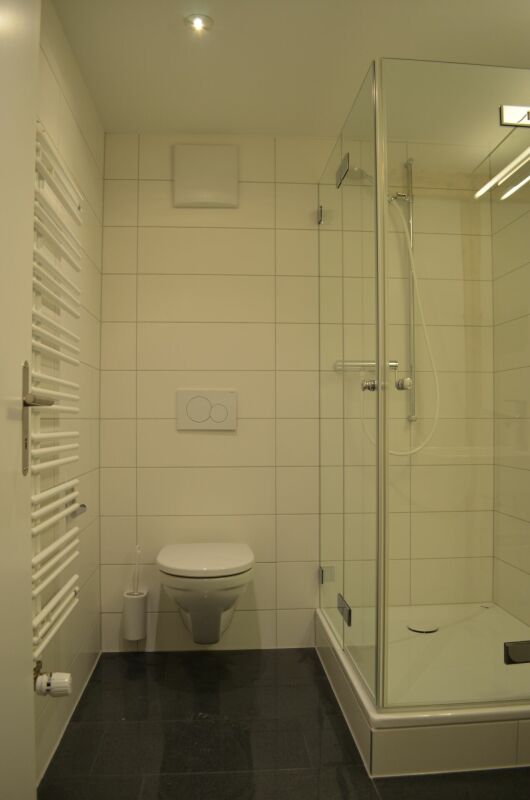 Modernes kleines Badezimmer mit Dusche und Wand-WC