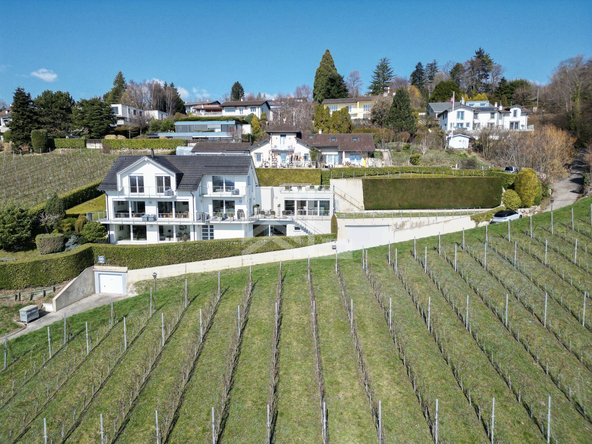Villa in Hanglage mit Weinberg