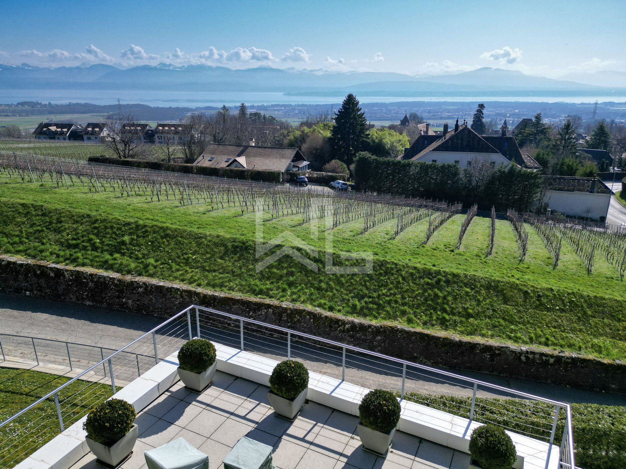Terrasse mit Panoramablick über Weinberge und See