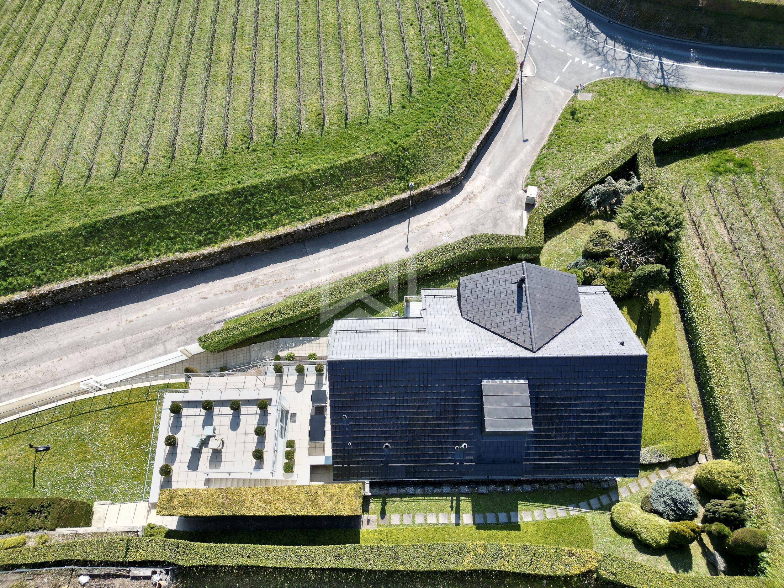 Luftaufnahme eines Hauses zwischen Weinbergen