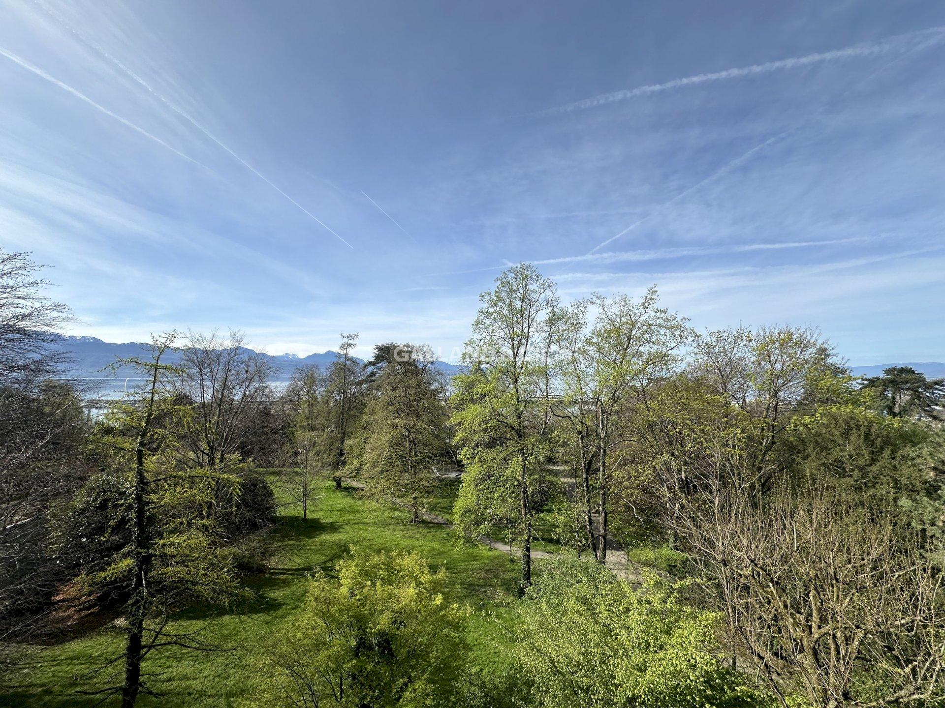 Grüne Parklandschaft mit Bergblick
