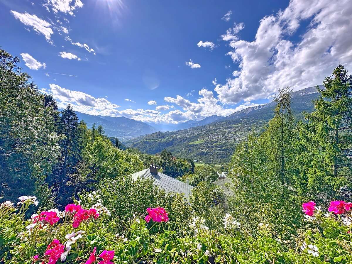 Bergpanorama mit Gartenblumen
