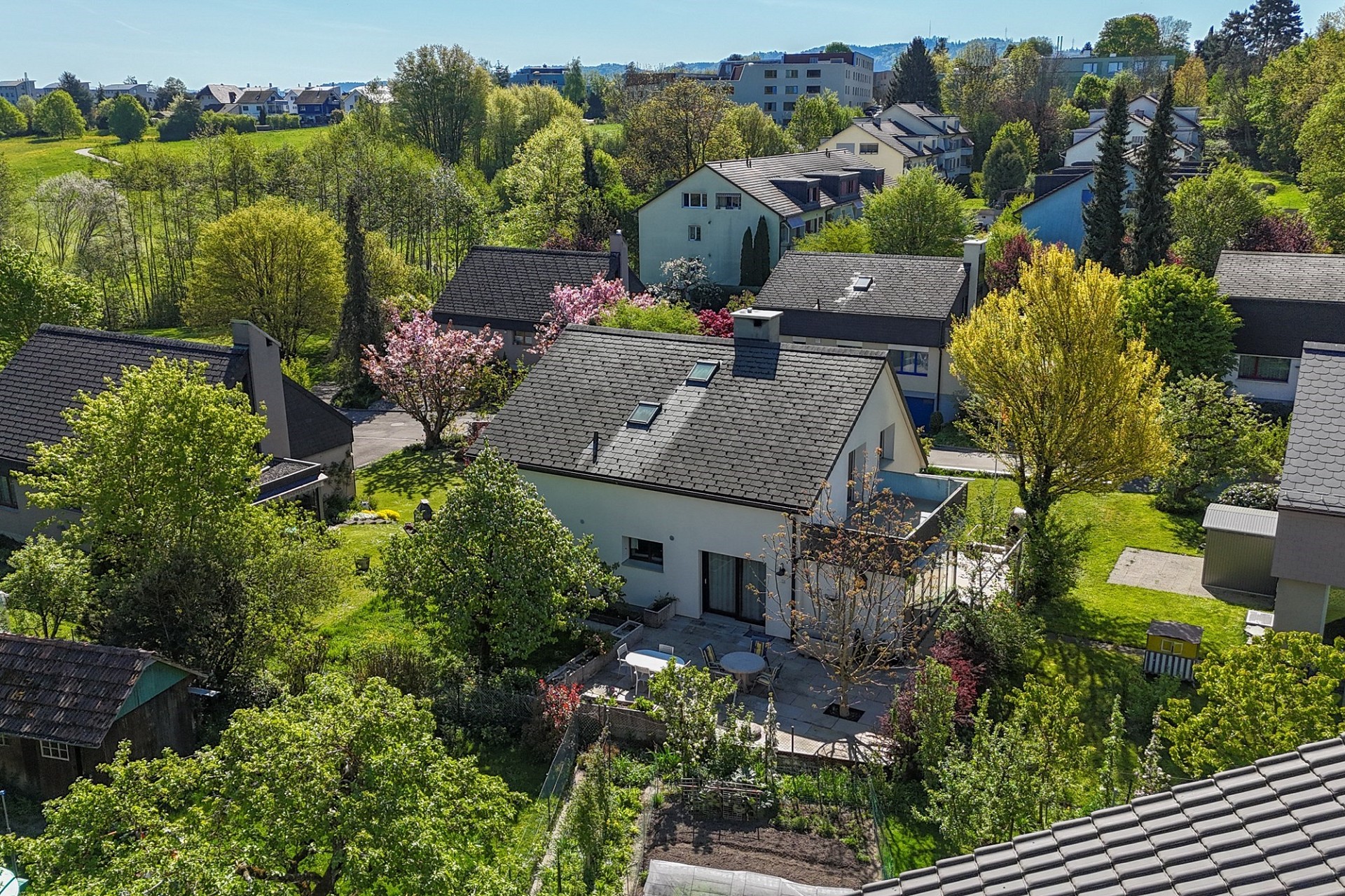 Luftaufnahme eines grünen Wohnviertels