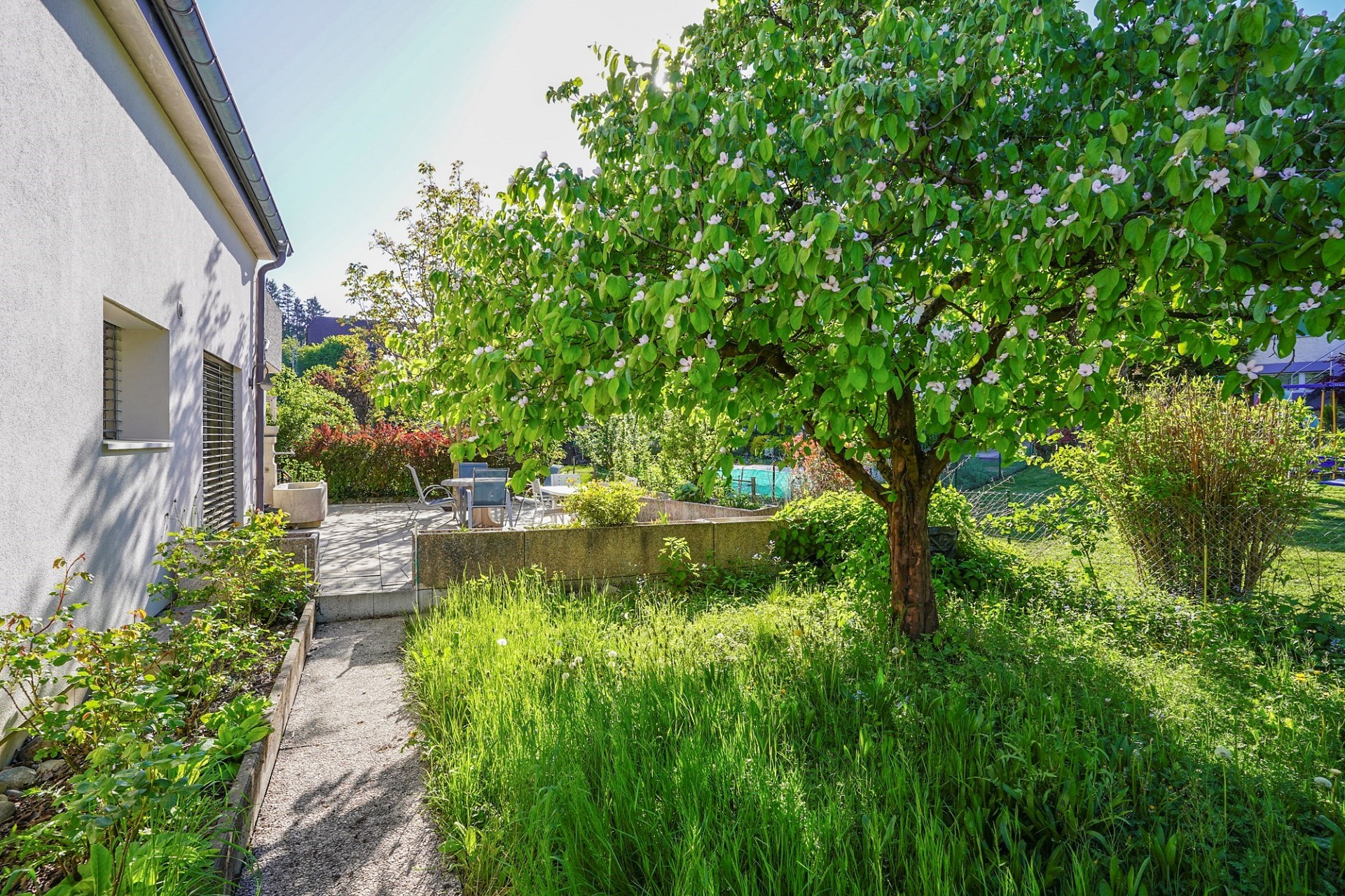 Garten mit Terrasse neben dem Haus