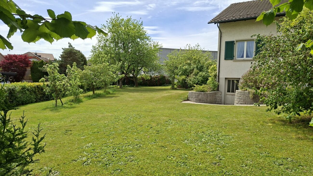 Großer grüner Garten mit Hausansicht