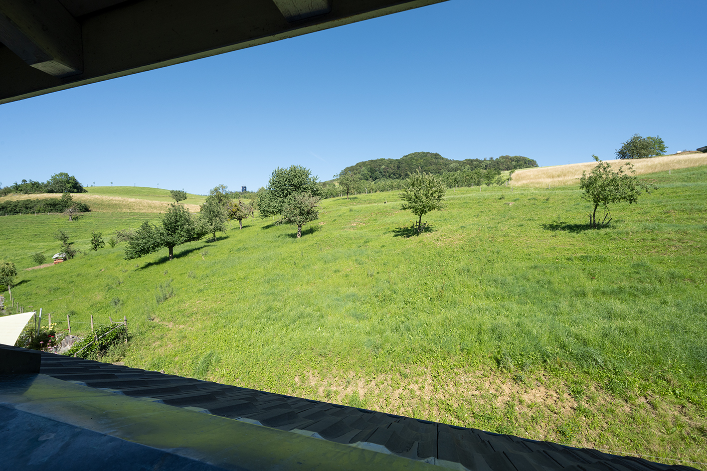 Blick über grüne Hügellandschaft