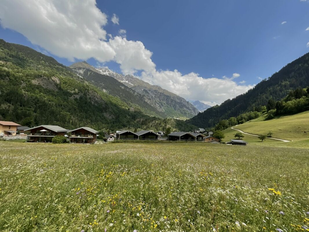 Alpine Landschaft mit Häusern und Wiese
