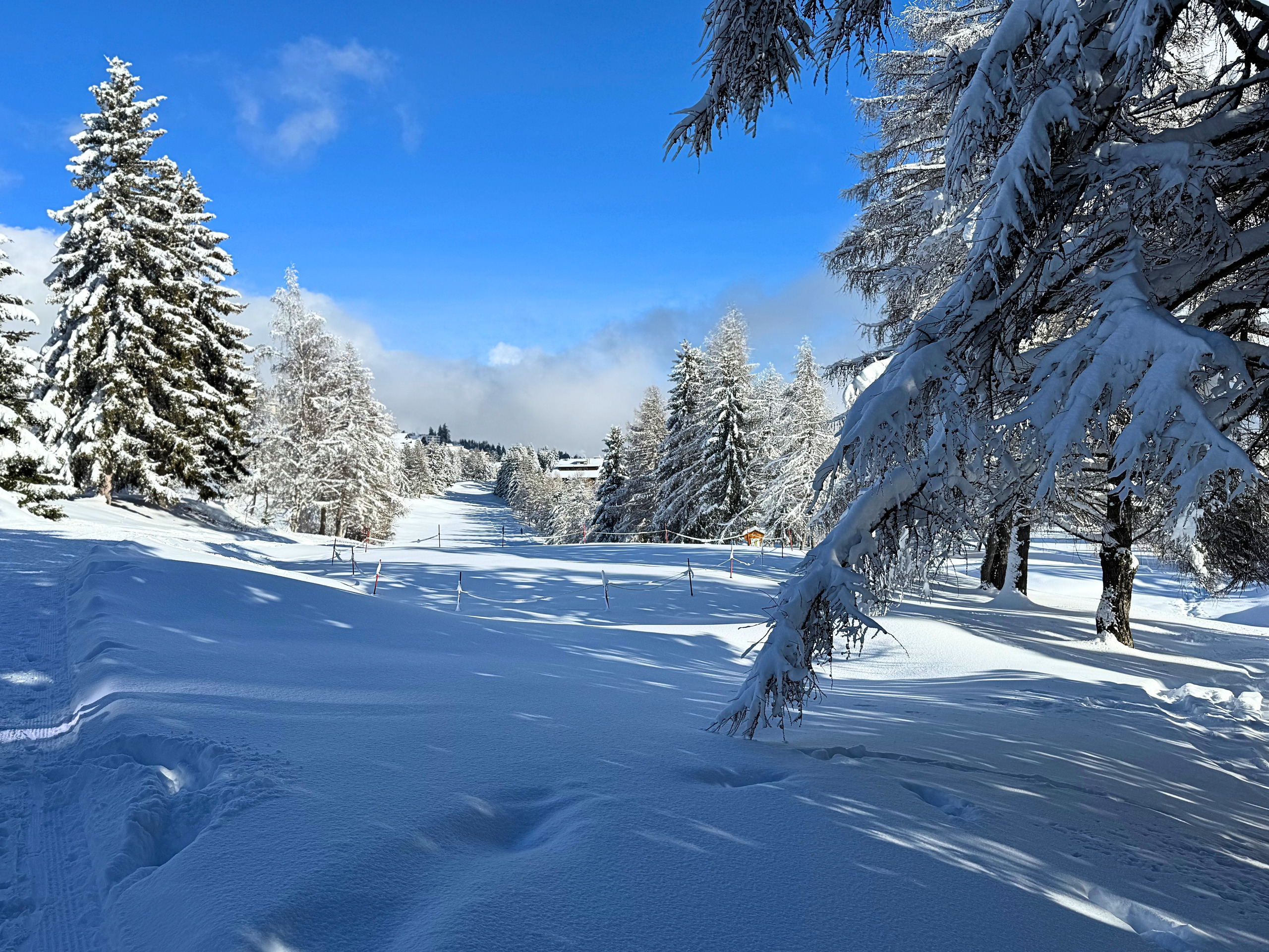 Verschneite Wald- und Winterlandschaft