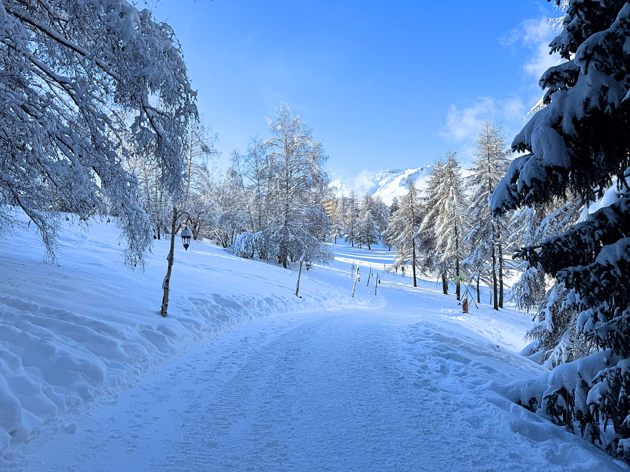 Verschneite Winterlandschaft mit Bergblick